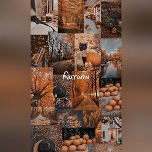 Beautiful Autumn Colors. Hoodie Weather.